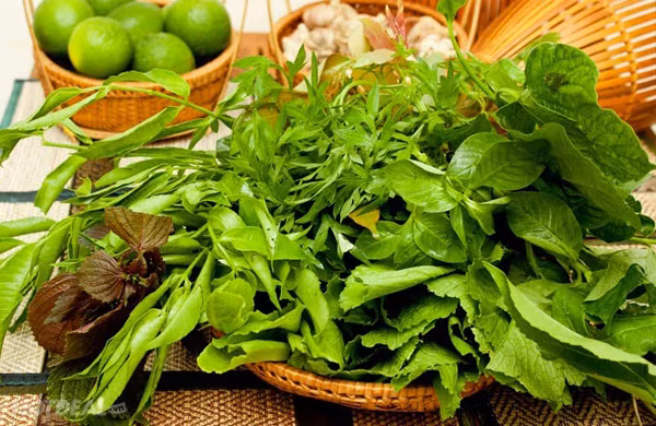 Về mặt dinh dưỡng, phân tích chỉ ra rau rừng chứa lượng nước dồi dào, giàu vitamin như caroten, vitamin C, riboflavin (đặc biệt loại rau lá xanh, xanh thẫm). Hàm lượng chất khoáng như canxi, kali, magie, chất xơ, phytochemical... cũng được đánh giá cao.