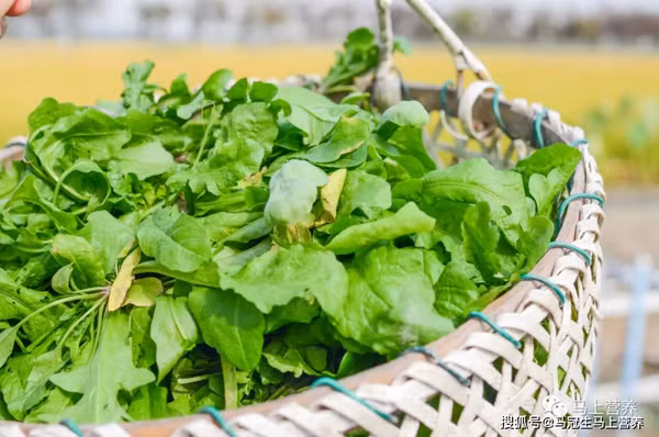 Chất lượng cuộc sống ngày càng cải thiện, bữa ăn ngoài thịt cá, người dân còn chú ý chọn rau rừng để giải ngán, bổ sung dưỡng chất.