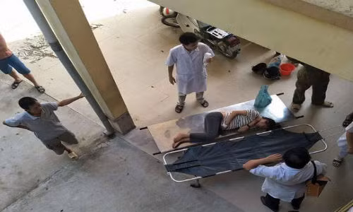 Ăn nấm lạ, 5 người trong gia đình suy thận, tổn thương gan An nam la, 5 nguoi trong gia dinh suy than, ton thuong gan