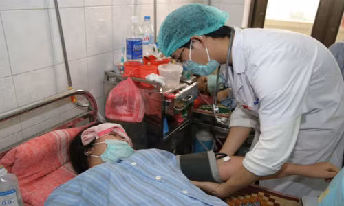 Ha Noi: Da co hon 700 truong hop mac sot xuat huyet