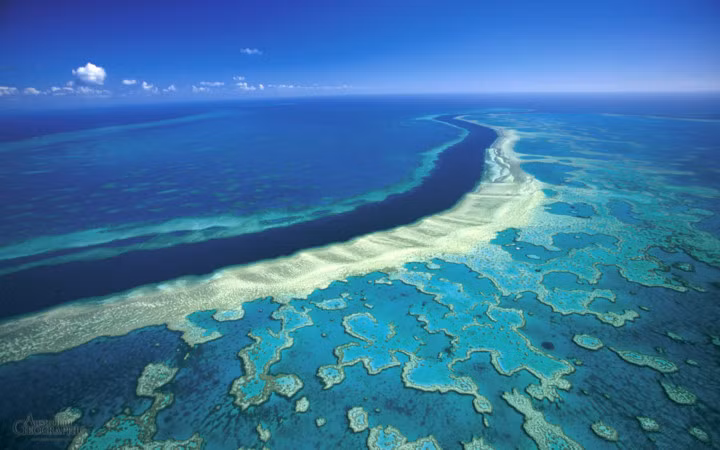 Bãi đá Great Barrier, Australia. Bãi đá Great Barrier có diện tích 344.400 km2 là hệ thống rạng san hô lớn nhất trên thế giới, nhưng ô nhiễm và đánh bắt cá quá mức là lý do khiến kỳ quan tự nhiên tuyệt đẹp này mất hơn một nửa san hô chỉ trong vòng 27 năm. Một số nhà khoa học thậm chí còn tiên đoán nó có thể biến mất hoàn toàn trong vòng chưa đầy 40 năm tới.