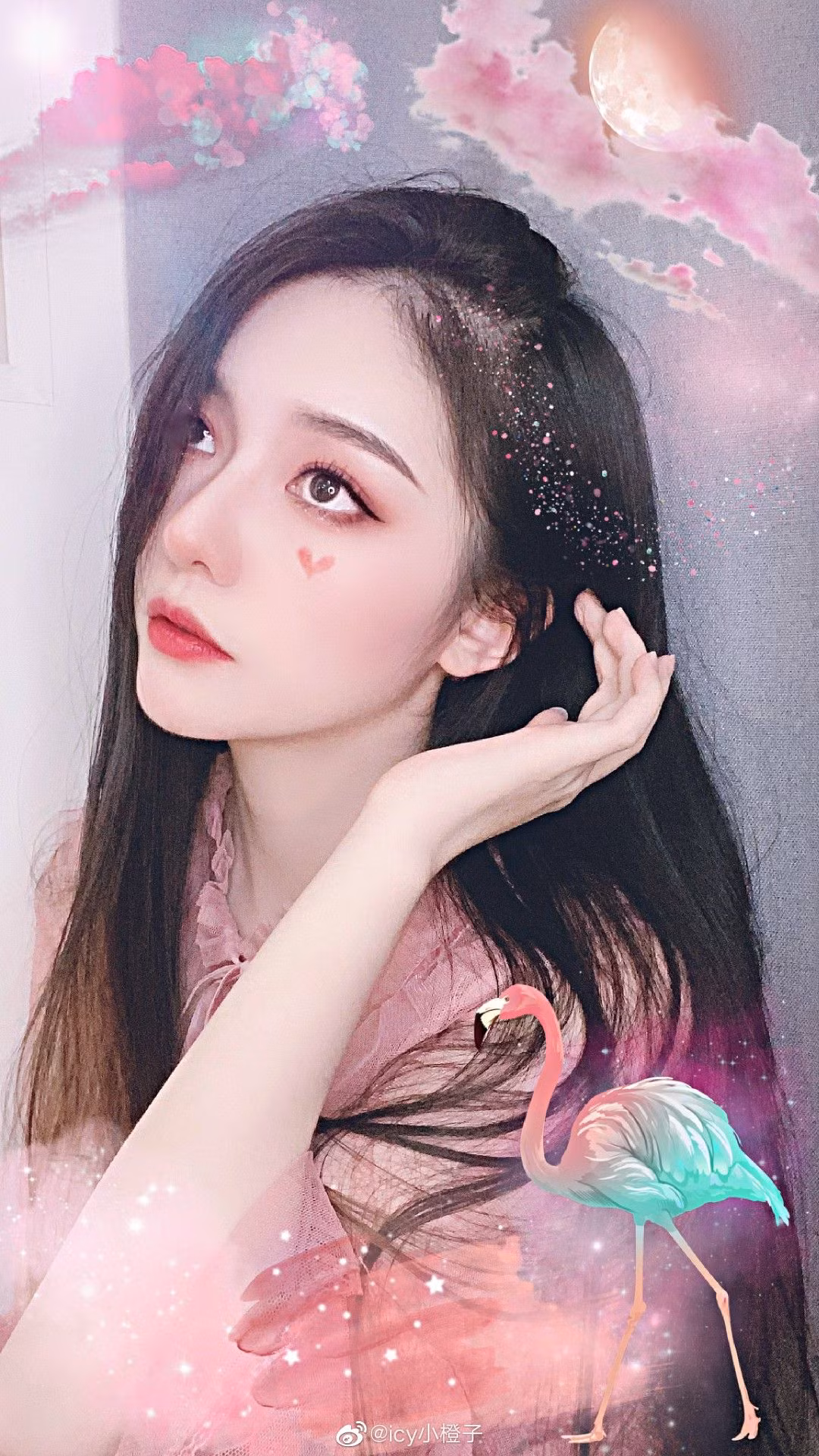 Không giống với những hot girl đình đám khác hiện nay, Tiểu Tranh Tử mang một vẻ đẹp truyền thống, vẻ đẹp được đánh giá là "nghiêng nước nghiêng thành".
