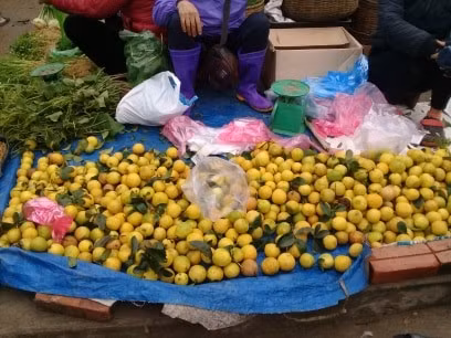 Hoa quả là mặt hàng đắt khách trong dịp Tết.