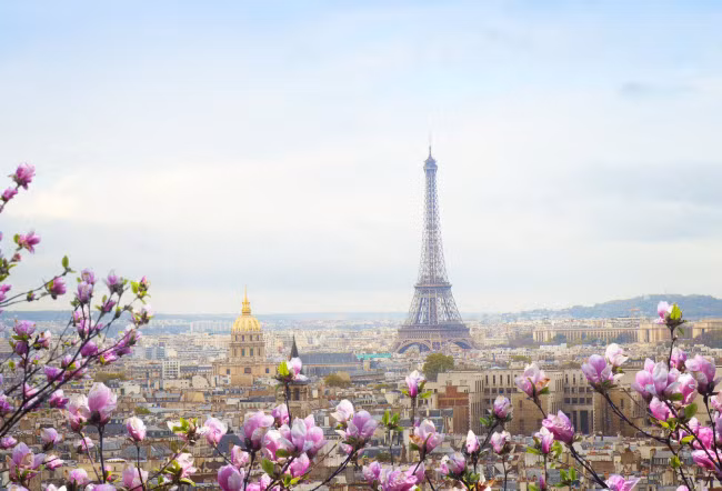 Khung cảnh mùa xuân tại thành phố Paris, Pháp. 