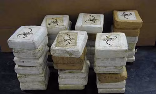 Năm 2008, cảnh sát đã tịch thu gần 50 tấn cocaine tại Mỹ, với tổng giá trị lên tới gần 1,5 tỷ USD.
