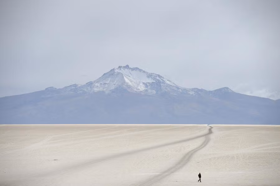 Con người giống như một nét vẽ nhỏ trong bức tranh thiên nhiên ở Isla Incahuasi, Bolivia.