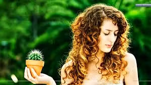 Bỏ túi mẹo làm đẹp hay ho từ cây xương rồng Bo tui meo lam dep hay ho tu cay xuong rong