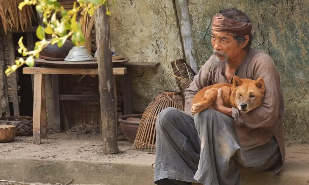 Hành động bán chó và tự kết thúc cuộc đời mình là chi tiết đắt giá của Nam Cao. Lão Hạc trở thành nhân vật đặc biệt, đại diện cho người nông dân thống khổ trước cách mạng tháng Tám, còn cậu Vàng trở thành chú chó nổi tiếng của văn học hiện thực. 