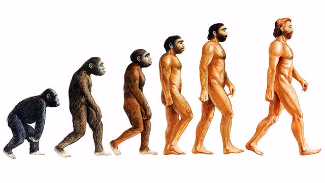3. Thuyết tiến hóa: Nhà khoa học Charles Robert Darwin - người đã phát hiện và chứng minh rằng, mọi loài đều tiến hóa theo thời gian từ những tổ tiên chung qua quá trình chọn lọc tự nhiên. Thuyết tiến hóa của nhà khoa học người Anh đã gây ra tranh cãi trong một thời gian dài, nhưng cho đến nay có lẽ đã được toàn thể cộng đồng khoa học chấp nhận.