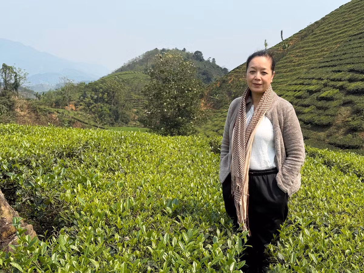 NSƯT Chiều Xuân chụp ảnh ở đồi chè Long Cốc. Ảnh: FB Nguyễn Thị Chiều Xuân