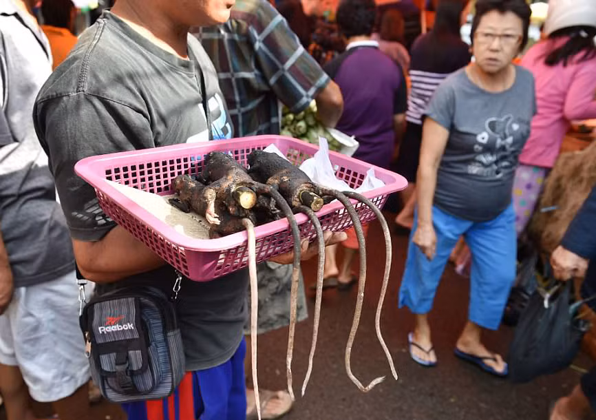 Một người bán thịt chuột ở chợ Tomohon.