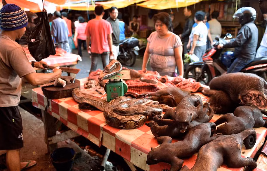Các nhà hoạt động đang cố gắng thuyết phục dân làng trên hòn đảo ở Indonesia này chấm dứt việc mua bán khỉ và những loài vật khác.