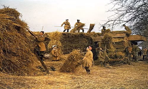Các cô gái thuộc tổ chức Women's Land Army (WLA) ở Anh hăng say làm việc năm 1944. Họ làm nông nghiệp thay cho những người đàn ông phải nhập ngũ. Ảnh: VT.