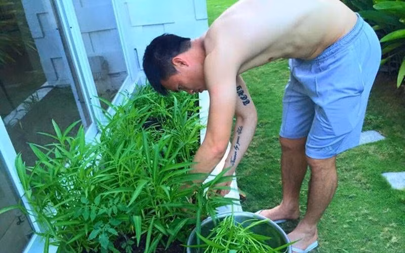 Dù chỉ là 1 câu chuyện đùa nhưng qua đó có thể thấy được độ "khủng" của vườn nhà Công Vinh - Thủy Tiên.