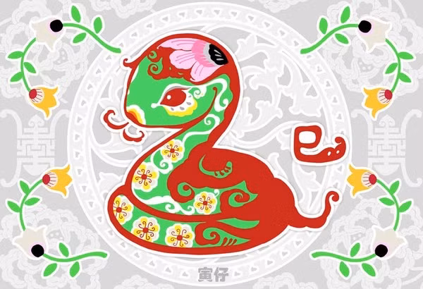 Sức hấp dẫn mà những người tuổi Rắn mê hoặc người khác có thể bù đắp được khuyết điểm này. Họ thường không cần cố gắng nhiều cũng có thể thu được tiền tài, hoặc là rất dễ thu được tiền tài từ túi áo người khác, đặc biệt là những người khác giới.