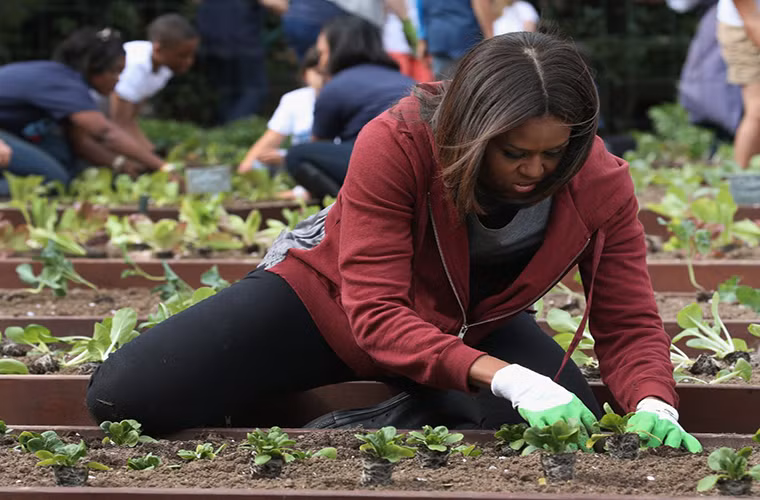 Rau xanh là một trong những món ăn yêu thích của gia đình ông Obama. Trong Nhà Trắng còn có hẳn một khu vườn trồng các loại rau củ quả. Được biết, khu vườn rau này do cựu Đệ nhất phu nhân Mỹ Michelle Obama tạo nên vào năm 2009 nhằm mục đích nâng cao sức khỏe. Ảnh: BI.