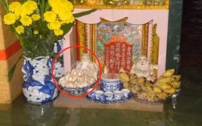 Phong thủy cho rằng nên bày tỏi để có 2 vị thần dễ dàng bài trừ “các đạo chích vong binh” ám muội. Giúp đường tài vận của gia đình được hanh thông, gia đạo bình an hơn.