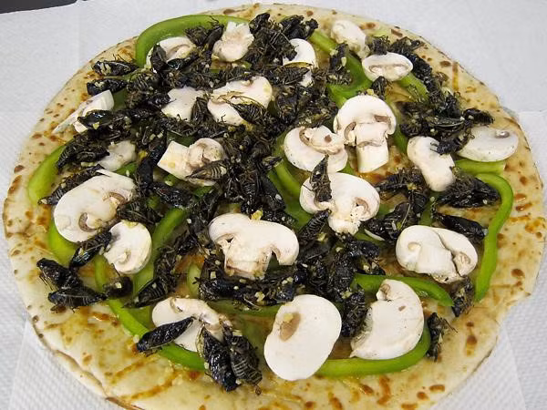 Trên thế giới, còn có nhiều loại pizza kỳ quặc khác như pizza ve sầu của Mỹ. Những con ve vừa lột xác và ra khỏi lòng đất được dùng để làm salad, bánh taco và nhân pizza. Chúng có vị bùi và giòn rất hấp dẫn. Ảnh: Inland360.