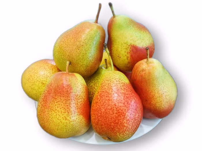 Lê là một trong những loại thực phẩm tốt cho đường ruột nhất mà bạn nên ăn ít nhất 1 lần/tuần. Nghiên cứu gần đây cho thấy rằng, lê cung cấp chất xơ, natri và kali dồi dào. Trái cây này cũng không chứa cholesterol, không có chất béo. Ăn lê là các tốt nhất để hỗ trợ hệ tiêu hóa tốt hơn.