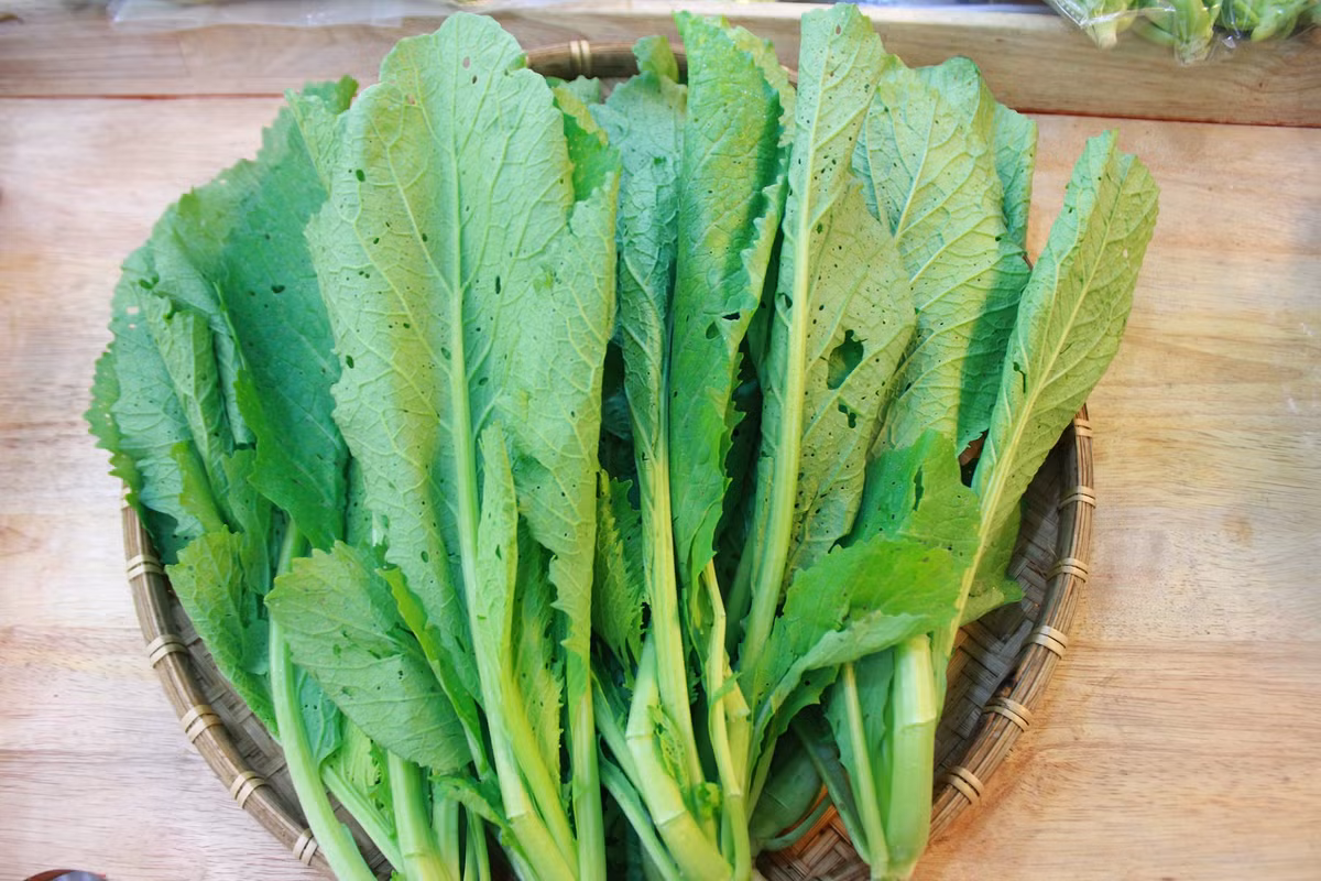 Cải xanh là loại rau kiềm tính và hầu như không chứa nhân purin. Cải xanh có tác dụng giải nhiệt trừ phiền, thông lợi tràng vị. Loại rau này còn có tác dụng lợi tiểu, rất thích hợp với người bị bệnh gout.