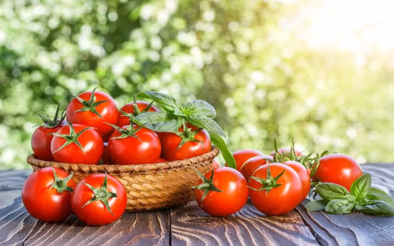 Cà chua: Chứa lycopene và các thành phần chống ung thư khác, cà chua có tác dụng ngăn ngừa ung thư dạ dày và ung thư đường ruột.