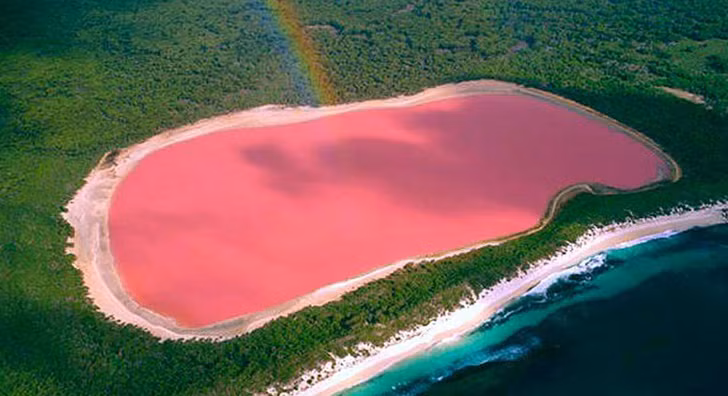 Một hồ nước ở Australia có màu hồng do một loại vi khuẩn đặc biệt.