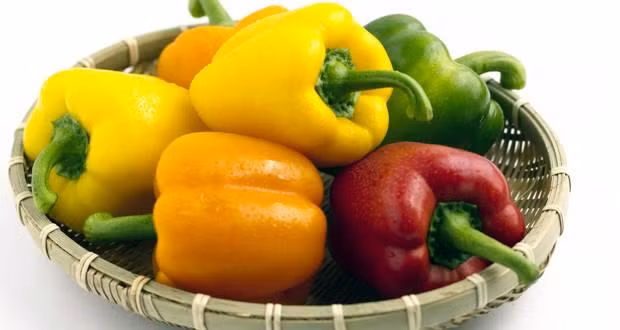 Cung cấp sắt: Ớt chuông chứa vitamin C, rất quan trọng cho sự hấp thu sắt và cũng ngăn ngừa các bệnh như thiếu máu.
