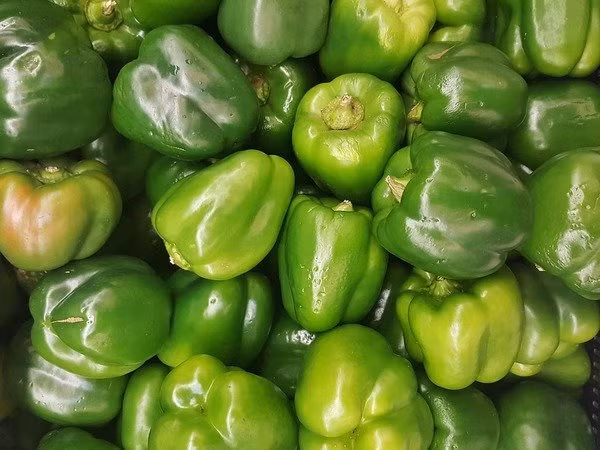 Tốt cho tim: Ớt đỏ tốt cho tim, nhờ hàm lượng lycopene phong phú, trong khi ớt chuông xanh lá cây có chất xơ làm giảm cholesterol. Vitamin B6 và folate có trong ớt chuông giúp giảm mức độ homocysteine vốn có hại cho tim. Kali trong ớt cũng giúp điều hòa huyết áp.