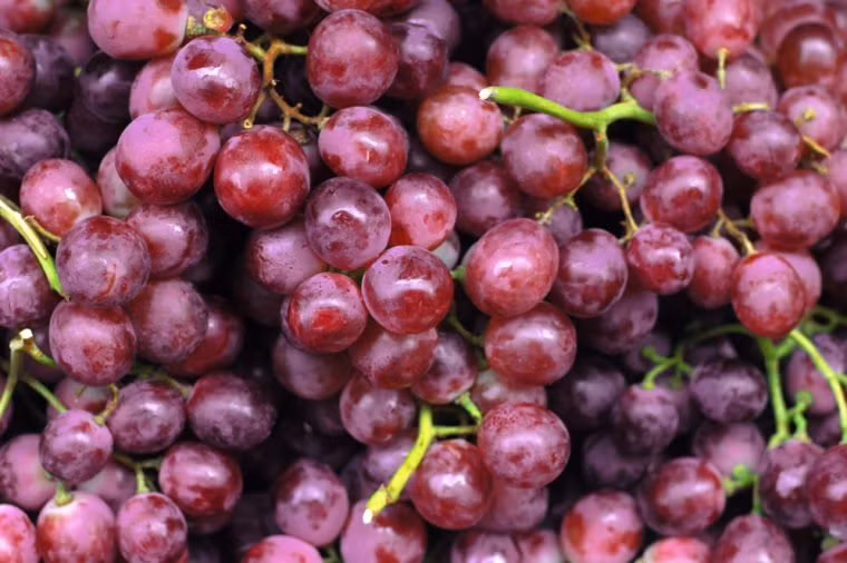 Nho: Các chất chống oxy hóa và các polyphenol khác trong nho tốt cho tim cũng có tác dụng làm chậm lão hóa.
