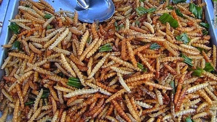 Từ sâu măng có thể làm ra nhiều món ngon, nhưng ngon nhất vẫn là sâu măng xào lá chanh.