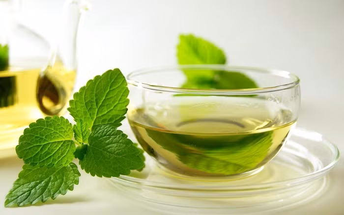 Trà xanh và lá bạc hà: Trà xanh chứa EGCG giúp giảm cân và huy động chất béo, lá bạc hà có đặc tính chống oxy hóa, ngăn ngừa viêm dạ dày, dị ứng...Do đó, hỗn hợp này giúp giảm trọng lượng. Ảnh: Internet.