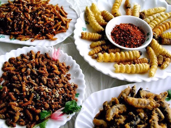 Loi choi sả ớt: Loi choi có thân tròn như chiếc đũa, người ta thường ướp muối phơi dốt dốt rồi chiên sả ớt. Món loi choi còn tươi sống hoặc đã phơi khô mà đem nướng sơ qua lửa than thì không còn gì ngon hơn.