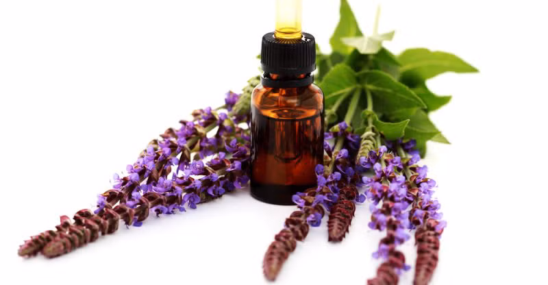 Tinh dầu xô thơm bạc hà là chất chống oxy hóa hiệu quả và có thể giảm các tác động gây tổn hại lên da của các gốc tự do có hại. Các gốc tự do có thể làm tổn thương DNA của da và đẩy nhanh quá trình lão hóa.