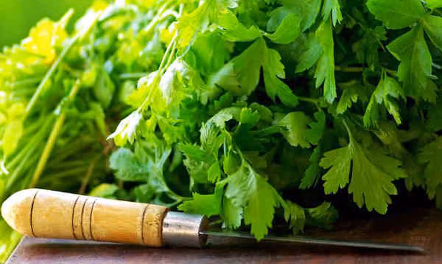 Thảo dược khắc phục tóc khô và hư tổn Thao duoc khac phuc toc kho va hu ton