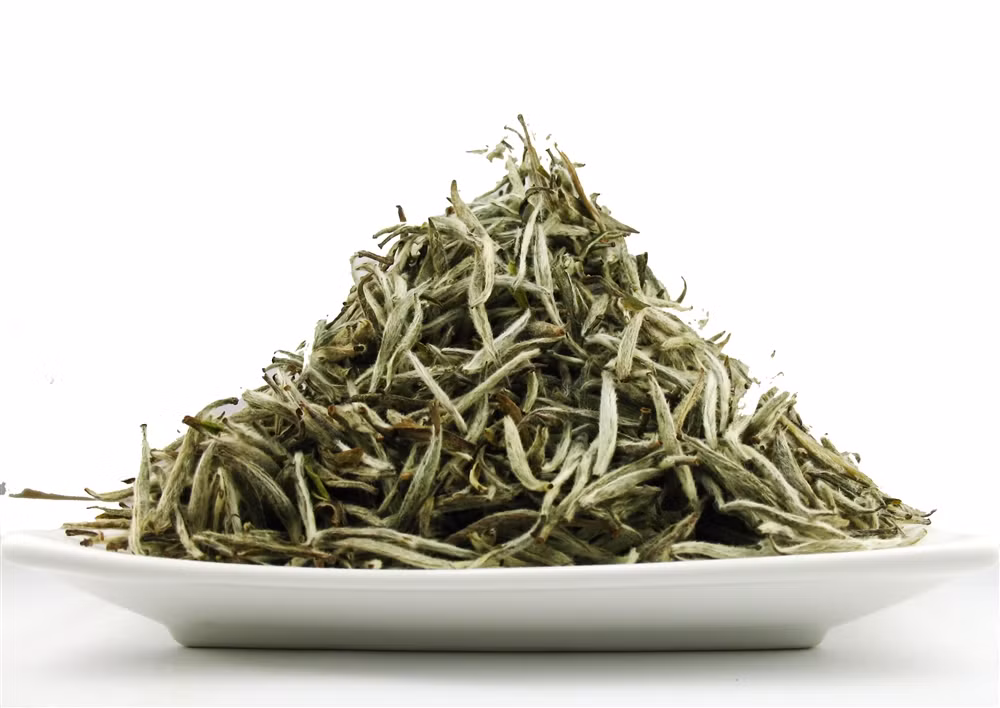 Bảo vệ cơ thể khỏi các bệnh tật: Polyphenol trong trà trắng hoạt động như một lá chắn cho các tế bào và bảo vệ chúng khỏi các gốc tự do gây viêm mãn tính, các bệnh có hại và hệ thống miễn dịch bị suy yếu.