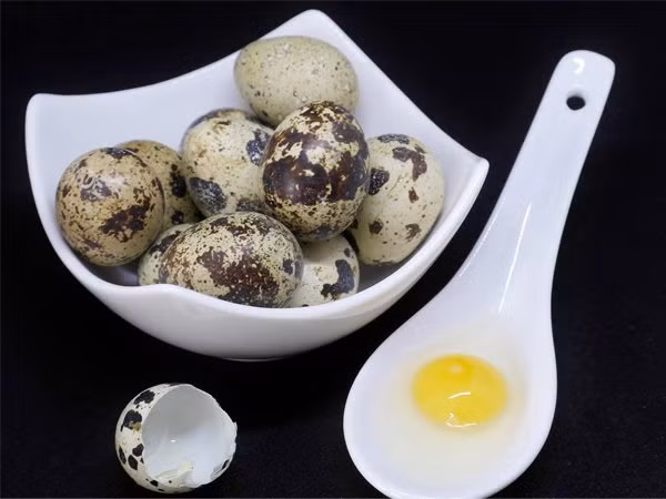 Giảm nguy cơ mắc bệnh nan y: Lượng kali thấp trong cơ thể có thể khiến bạn dễ mắc các bệnh nan y như bệnh tim, huyết áp cao, viêm khớp, đột quỵ, ung thư và rối loạn tiêu hóa. Trứng cút bổ sung lượng kali cần thiết cho cơ thể, giúp bạn khỏe mạnh.