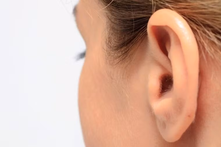Khu vực đằng sau tai: Khi vực này thường tiết ra nhiều mồ hôi nên sẽ ẩm và có độ nhờn. Thêm vào đó, với hình dạng lõm nên chúng dễ tích tụ lại bụi bẩn mà khi tắm chúng ta không vệ sinh kĩ.