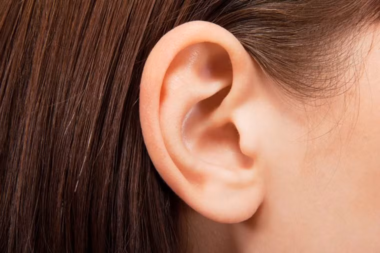 Tai: Bên trong tai của chúng ta rất nhạy cảm và rất dễ bị tổn thương, đó là lý do tại sao bạn không nên gãi, ngoáy tai. Bạn không nên cho ngón tay vào sâu trong tai. Da trong ống tai rất mỏng và dễ bị tổn thương. Vì vậy khi có triệu chứng ngứa hay đau tai thay vì tự điều trị tại nhà, nên gặp bác sĩ chuyên khoa tai mũi họng.