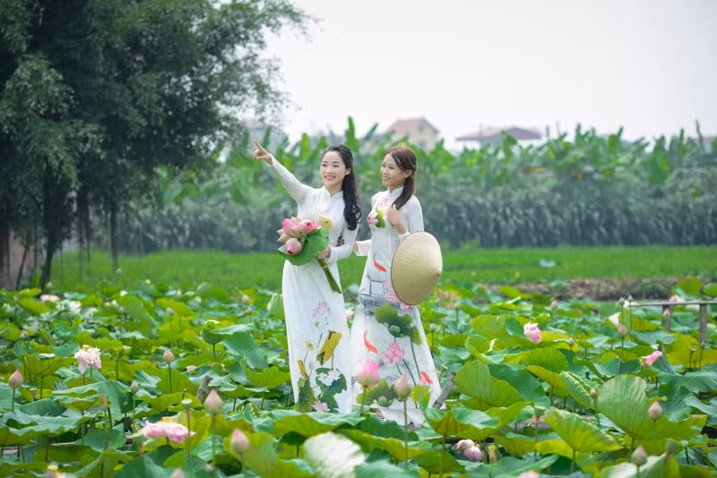 Nét duyên dáng, dịu dàng khi khoác lên tấm áo dài của người con gái kết hợp với loài hoa thanh tao của sen càng trở nên tôn quý hơn.