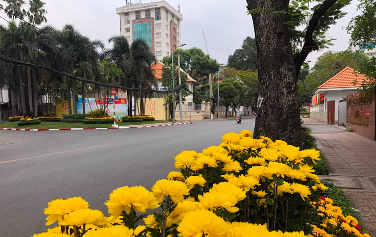 Giao lộ Trần Quốc Tuấn - Trương Định, trước trụ sở Quận ủy, UBND quận 3 sáng 28 tháng Chạp. 