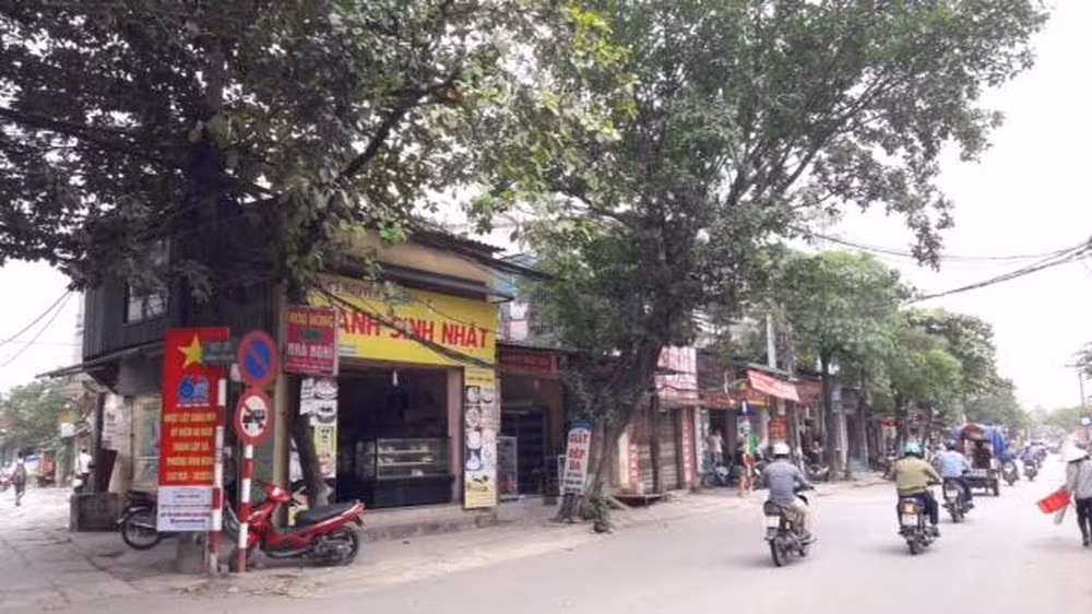 Cụ thể, khu đất thứ nhất là khu nhà ở Ao Mơ với diện tích khoảng 22,9 ha, bao gồm 3,85 ha diện tích tuyến đường mặt cắt 40m đi qua dự án. Ảnh: Xây Dựng.