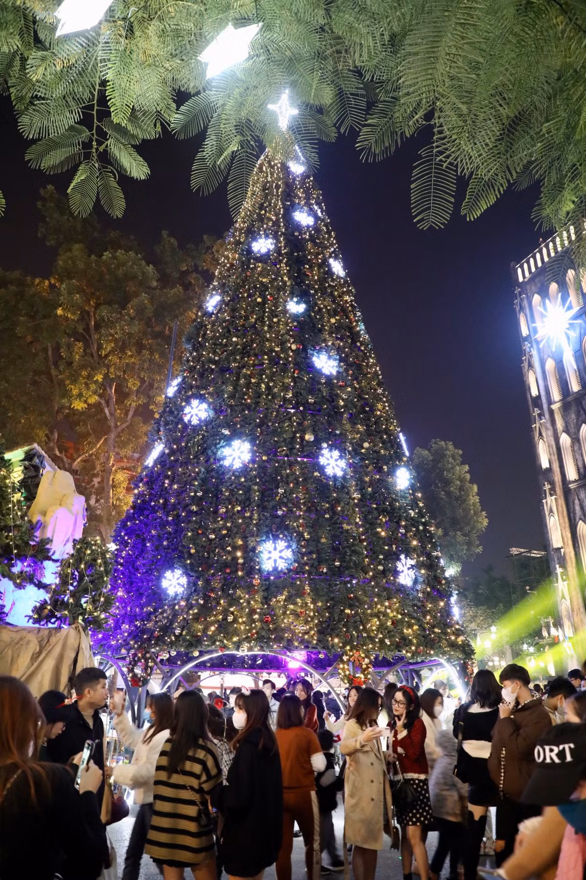 Nhà thờ Lớn được trang trí cây thông Noel “khổng lồ” cao 20m với hệ thống đèn led toả sáng lấp lánh đặt ở khuôn viên phía trước Nhà thờ.