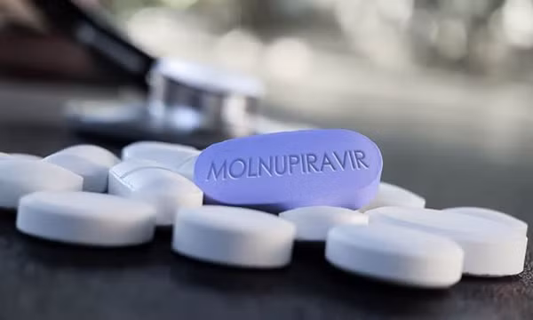 Cụ thể, khi virus xâm nhập tế bào, nó giải phóng ARN nhằm nhân bản chính nó rồi tiếp tục lây nhiễm các tế bào khác. Thuốc kháng virus Molnupiravir có chức năng gây rối quá trình sao chép của virus bằng cách chèn lỗi vào ARN virus để virus không thể tạo ra các hạt virus lây nhiễm.