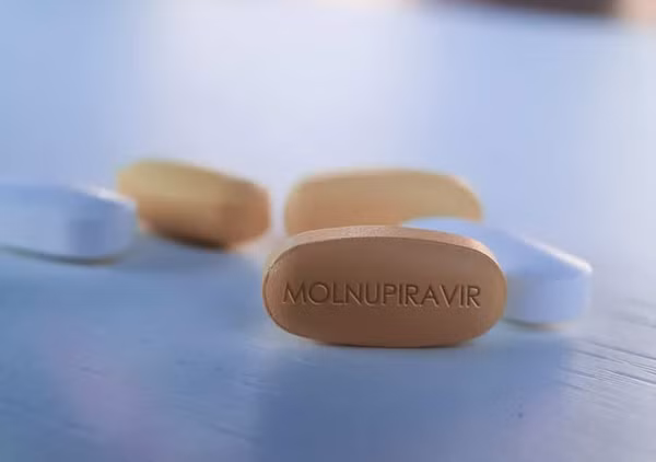 Được xem như "liều thuốc hy vọng", các nghiên cứu lâm sàng cho thấy, hoạt tính kháng virus phổ rộng của Molnupiravir chống lại được một số chủng của virus corora, bao gồm cả SARS-CoV-2.