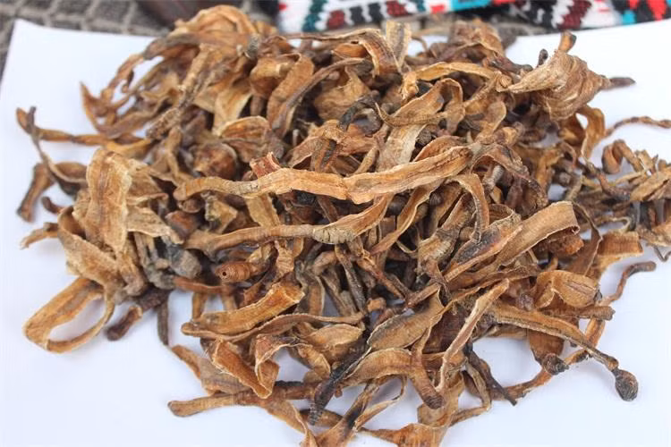 Bên cạnh đó, cũng lưu ý người dân không nên tin theo các quảng cáo thổi phồng tác dụng của địa long để rồi tiền mất tật mang. Đối với những bệnh nhân mắc COVID-19 điều trị tại nhà, phải tuân thủ các hướng dẫn chi tiết của nhân viên y tế.