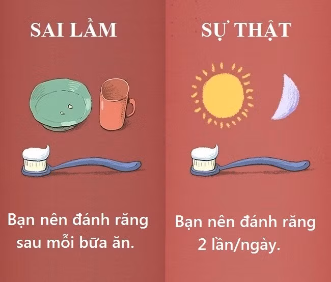 Nhiều người khuyên bạn nên đánh răng ngay sau khi ăn. Tuy nhiên, đó lại là điều sai lầm, đặc biệt khi bạn vừa ăn thực phẩm ngọt hoặc có tính axit. Đường và axit có thể làm mềm men răng, lúc này, kem đánh răng có thể gây hại bộ nhai. Sau khi ăn, bạn chỉ nên súc miệng bằng nước sạch. Nếu muốn đánh răng, hãy đợi ít nhất 30 phút sau khi ăn.