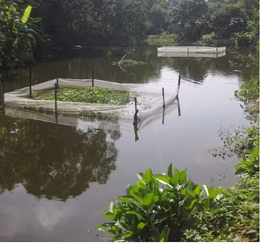 Thông tin về sự mất tích bí ẩn của bà cụ 76 tuổi được báo cho chính quyền địa phương. Nhiều nghi vấn cho rằng, do tuổi cao, trí nhớ không tốt nên rất có thể bà G. bị lạc, không tìm được đường về. Thứ hai, có thể trong lúc cắt cỏ gần khu vực sông, hồ, ao, bà này bị trượt chân và đuối nước. Hàng chục người tại xã Thanh Bình đổ đi khắp các khu vực nghi vấn để tìm kiếm bà G. nhưng chẳng có kết quả. Công an xã Thanh Bình và Công an huyện Chương Mỹ cũng tích cực vào cuộc. Những khu vực vắng vẻ, có nhiều ao hồ mà bà G. thường đi cắt cỏ đều được xới tung. (Ảnh minh họa, nguồn internet) 