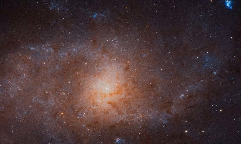 Thú vị cảnh thiên hà Triangulum lọt ống kính Hubble Thu vi canh thien ha Triangulum lot ong kinh Hubble