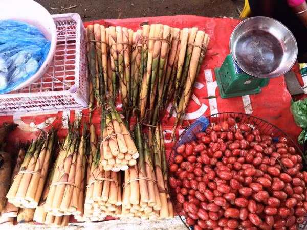Thời điểm tốt nhất để hái măng sặt là vào buổi sớm để măng ăn ngọt. Nếu hái măng vào quá trưa, măng sẽ khô và đắng, không còn giữ được hương vị vốn có của loại măng này. Ảnh: tintuc.