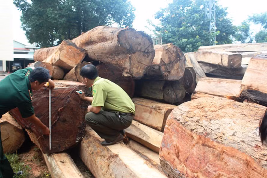 Xin các lực lượng bất thành, Hùng đã chỉ đạo lái xe dùng xà beng, búa để đục số khung, số máy, tháo biển số của các xe ô tô, sau đó bỏ chạy. Tuy nhiên, lực lượng chức năng đã bắt giữ lại các phương tiện, cùng tang vật 111m3 gỗ trái phép. 